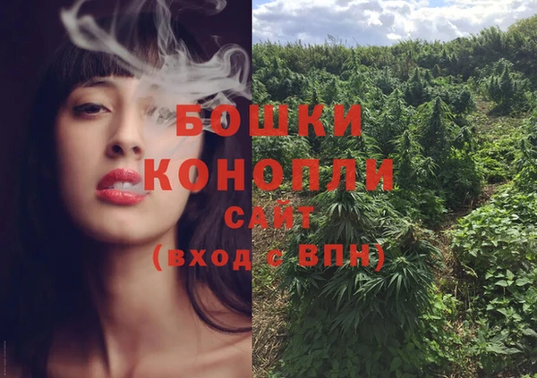 сатива Туринск